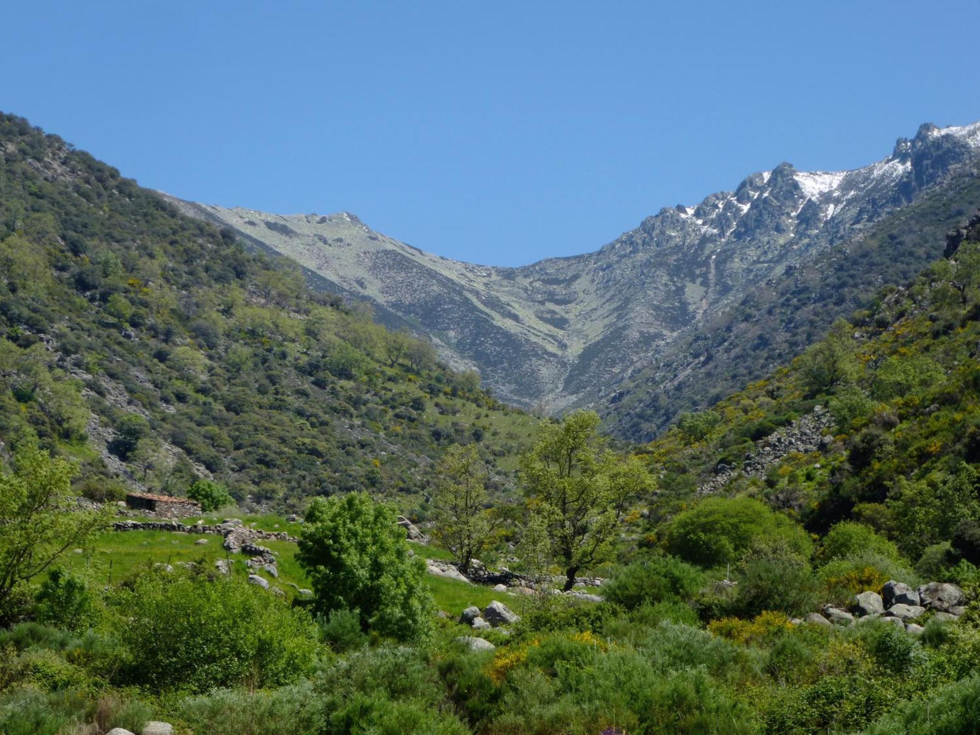 Apartamentos Rurales Entre Fuentes Cuacos De Yuste Luaran gambar