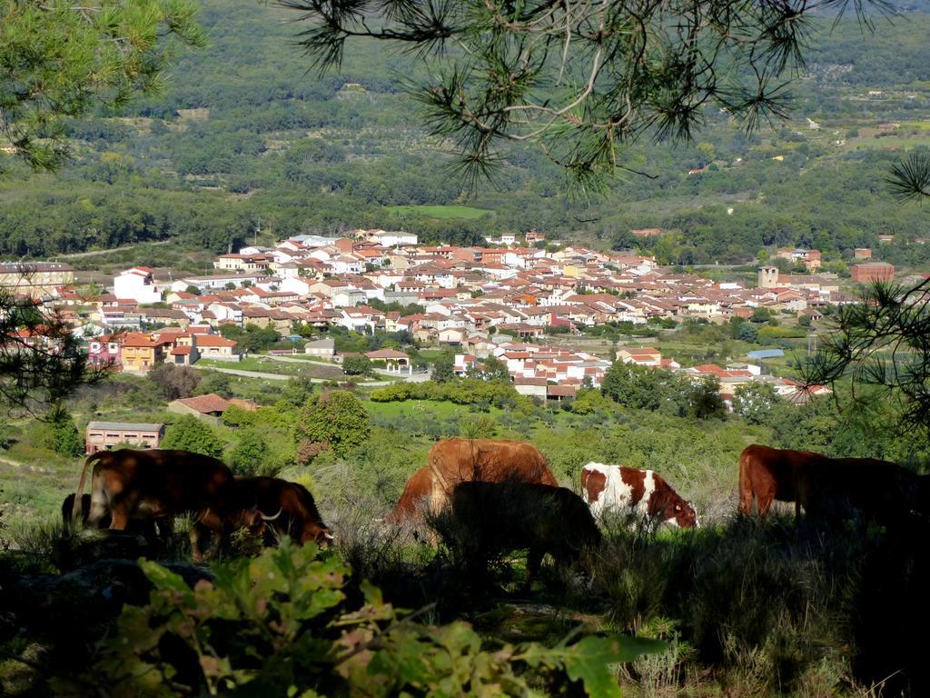 Apartamentos Rurales Entre Fuentes Cuacos De Yuste Luaran gambar